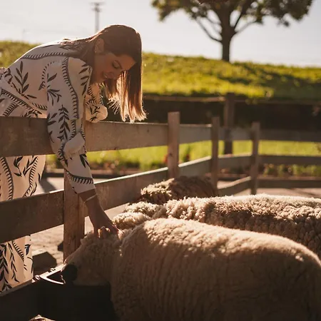 Capanna del Vale - Um refúgio no Vale dos Vinhedos com experiência exclusiva de degustação na Vinícola Dom Cândido-3